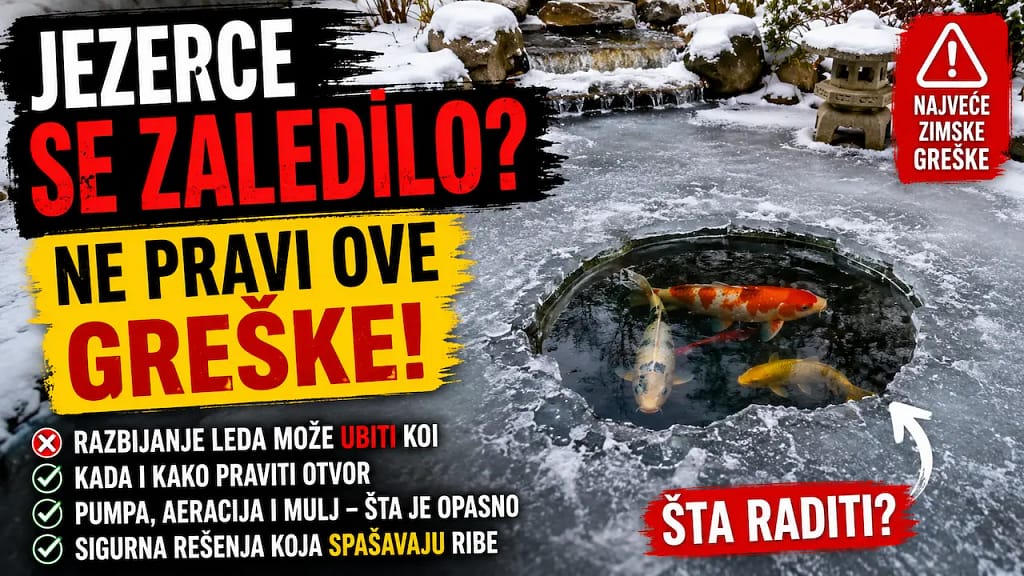 Potpuno zaleđeno koi jezerce tokom zime sa otvorom u ledu