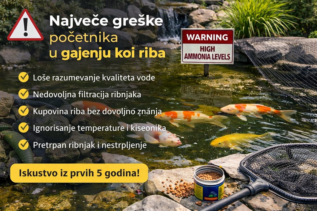 greške u gajenju koi riba ribnjak