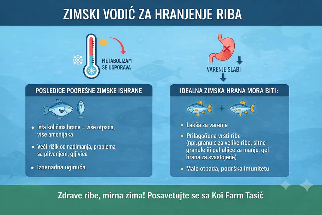 zimska ishrana koi riba temperatura vode metabolizam
