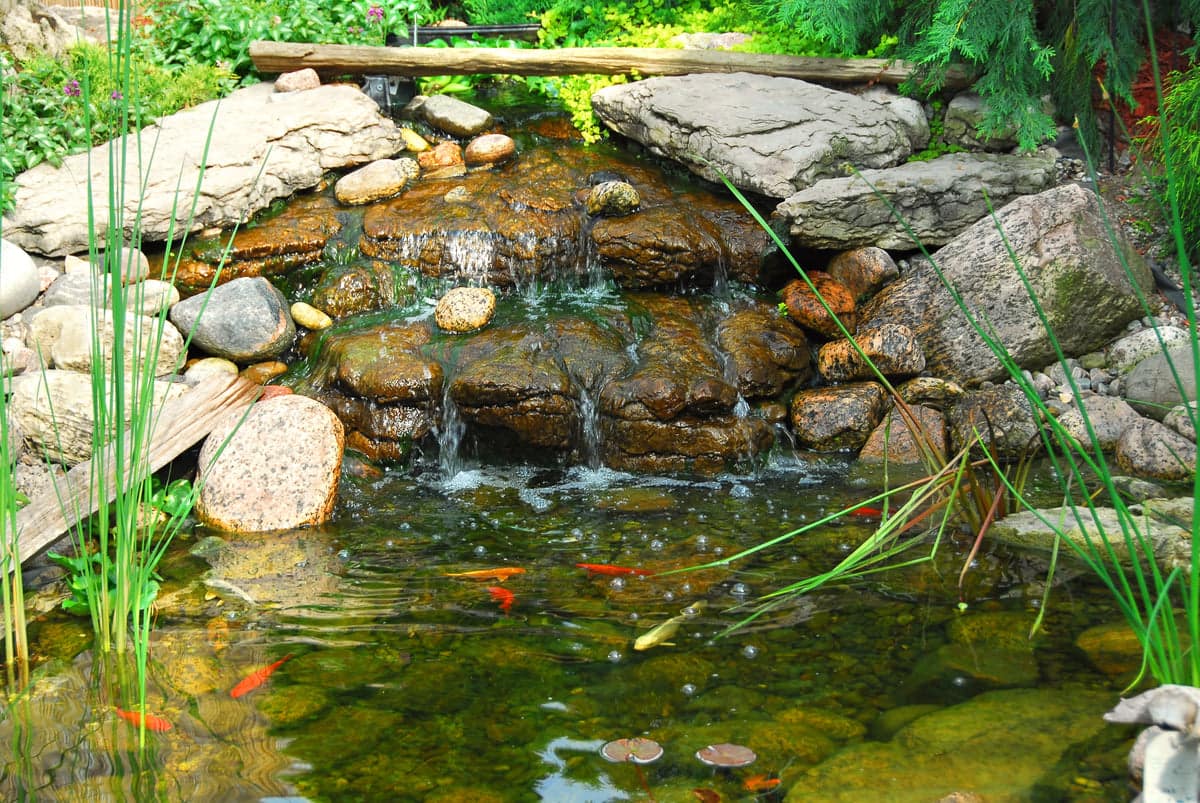 https://koifishusa.com/cdn/shop/articles/Koi_Pond_Bog_Filter_1200x.jpg?v=1773417009